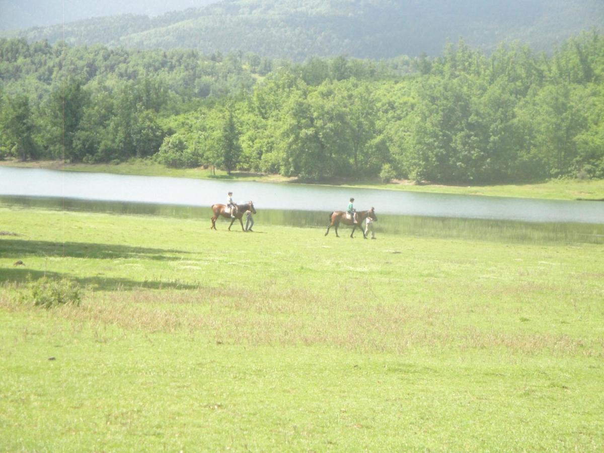 Cosy Lake House, Μια Ανάσα Πριν Τη Λίμνη Kalívia Zewnętrze zdjęcie